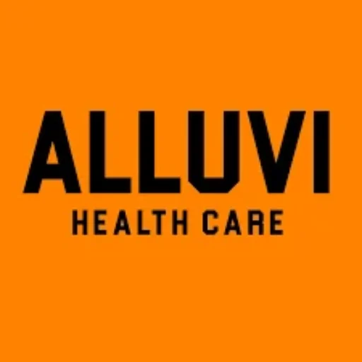 alluvibrazil.shop